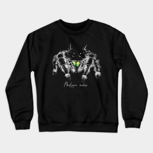 Phidippus audax Crewneck Sweatshirt